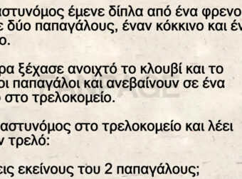 Ο κόκκινος παπαγάλος, ο τρελός και το… δέντρο!