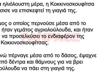 Κάποια ηλιόλουστη μέρα, η Κοκκινοσκουφίτσα αποφάσισε να επισκεφτεί τη γιαγιά της.