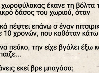 Ένας χωροφύλακας έκανε τη βόλτα του στο μικρό δάσος του χωριού