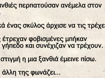 Δυο ξανθιές περπατούσαν ανέμελα στον δρόμο. Ξαφνικά ένας σκύλος άρχισε να τις τρέχει