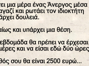 Μπαίνει μια μέρα ένας Άνεργος μέσα σε ένα μαγαζί και ρωτάει τον ιδιοκτήτη αν υπάρχει δουλειά