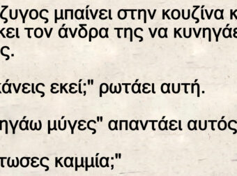 Η σύζυγος μπαίνει στην κουζίνα και βρίσκει τον άνδρα της να κυνηγάει μύγες
