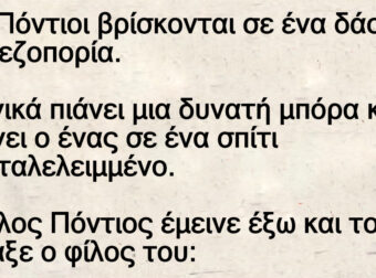 Δύο Πόντιοι βρίσκονται σε ένα δάσος