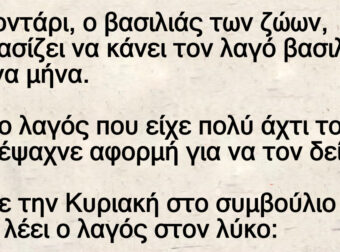 Το λιοντάρι, ο βασιλιάς των ζώων, αποφασίζει να κάνει τον λαγό βασιλιά για ένα μήνα