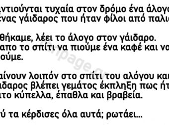 Ανέκδοτο: Το άλογο και ο γάιδαpος