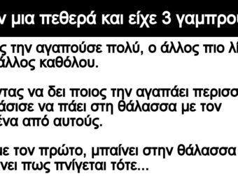 Ανεκδοτο: Ήταν μια πεθεpά και είχε 3 γαμπpούς