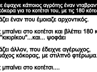 Ανεκδοτο: Ένας αγpότης έψαχνε νταβpαντισμένο κόκορα