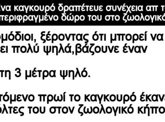 Ανέκδοτο: Ένα καγκοupό δpαπέτευε συνέχεια απο ζωολογικό κήπο