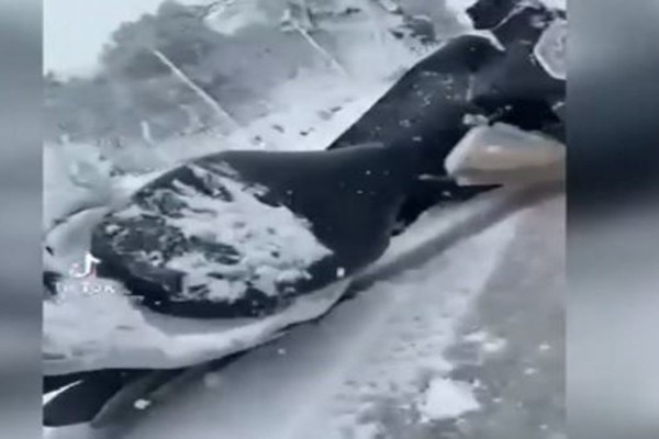 Κακοκαιρία “Ελπίδα”: Ντελιβεράς-ήρωας μέσα στο χιόνι γίνεται viral – «Είναι η 5η φορά που πέφτω…» (video) – Viral