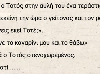 Ανέκδοτο: Σκάβει ο Τοτός ένα τεράστιο λάκο. Περνά εκείνη την ώρα ο γείτονας και τον ρωτά