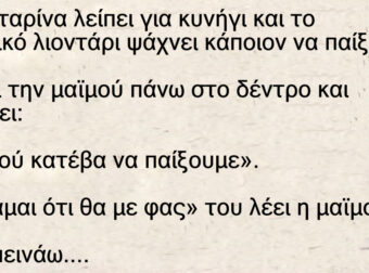 Ανέκδοτο: Η λιονταρίνα λείπει για κυνήγι και το αρσενικό λιοντάρι