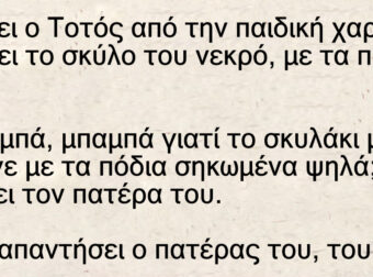 Ανέκδοτο: Γυρίζει ο Τοτός από την παιδική χαρά και βρίσκει το σκύλο του νεκρό, με τα πόδια ψηλά